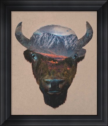 Framed Bison Peak Print