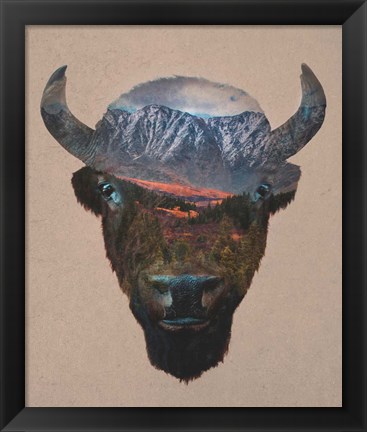 Framed Bison Peak Print