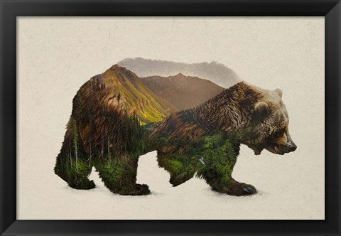 Framed North American Brown Bear Print