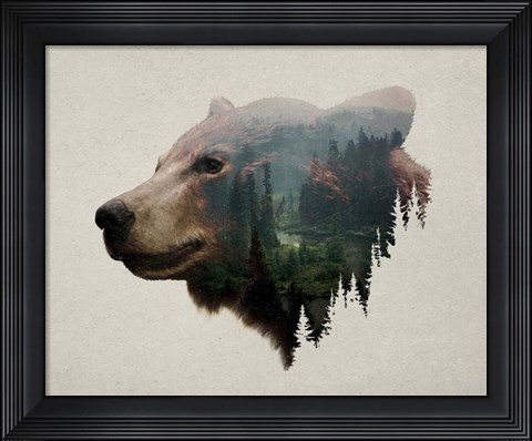 Framed Pacific Northwest Black Bear Print