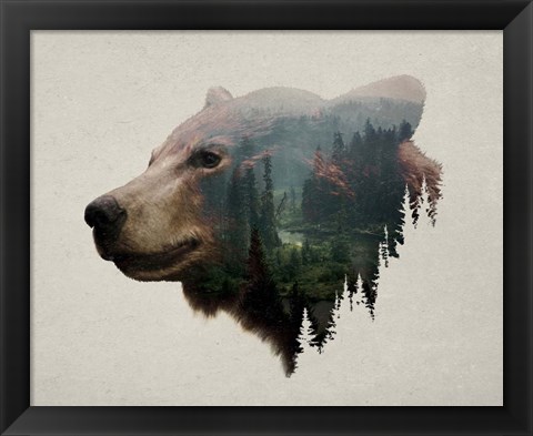 Framed Pacific Northwest Black Bear Print