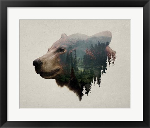 Framed Pacific Northwest Black Bear Print