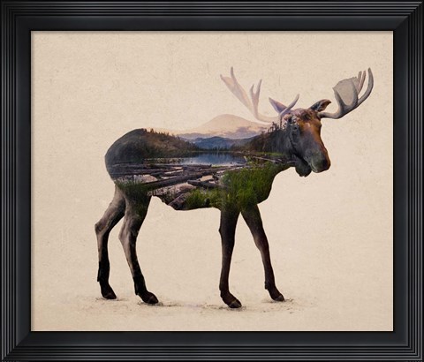 Framed Alaskan Bull Moose Print