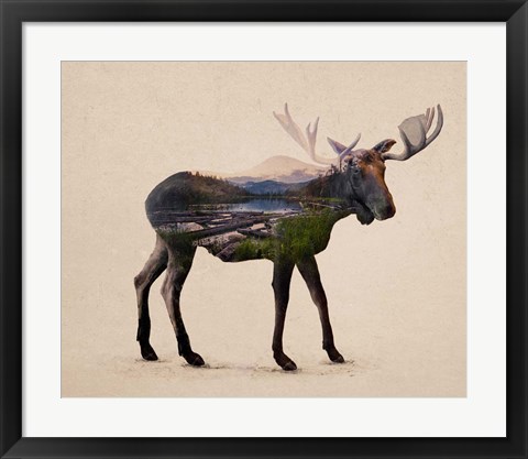 Framed Alaskan Bull Moose Print