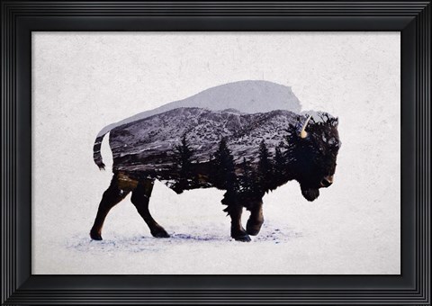 Framed American Bison Print