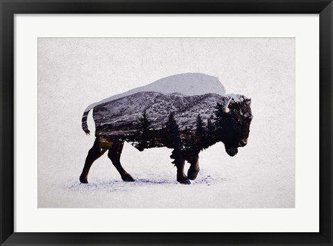 Framed American Bison Print