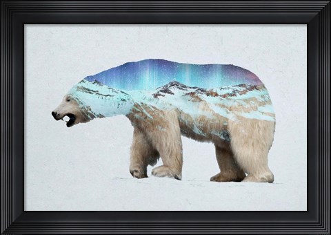 Framed Arctic Polar Bear Print