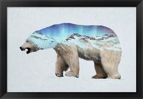 Framed Arctic Polar Bear Print