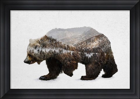 Framed Kodiak Brown Bear Print