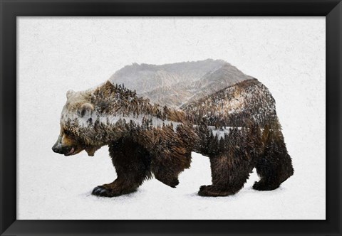 Framed Kodiak Brown Bear Print