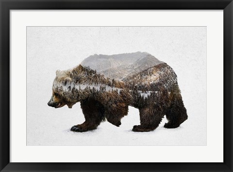 Framed Kodiak Brown Bear Print