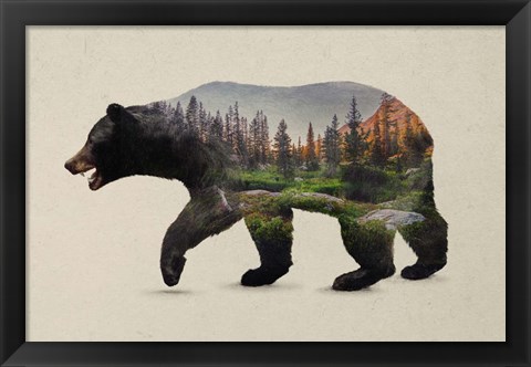 Framed North American Black Bear Print