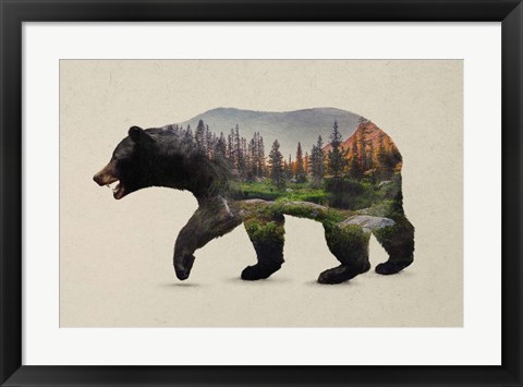 Framed North American Black Bear Print