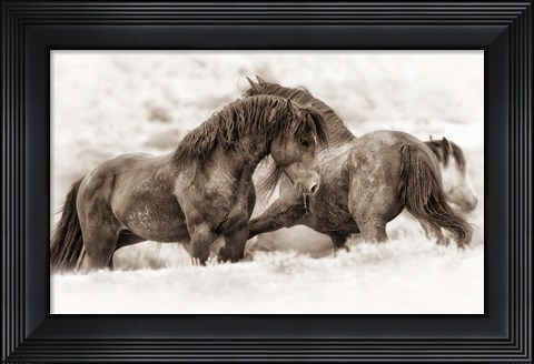 Framed Brothers Print