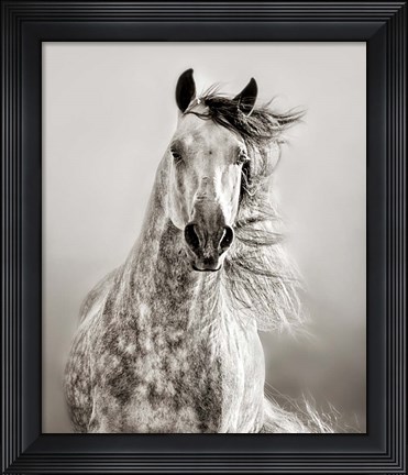 Framed Caballo de Andaluz Print