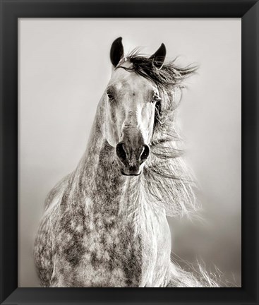 Framed Caballo de Andaluz Print