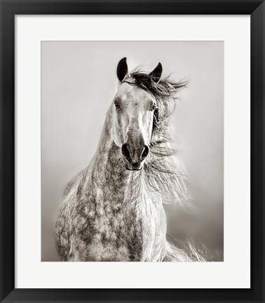 Framed Caballo de Andaluz Print