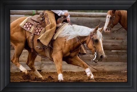 Framed Cutting Horses Print