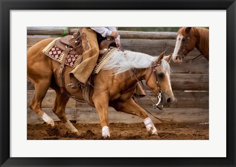 Framed Cutting Horses Print