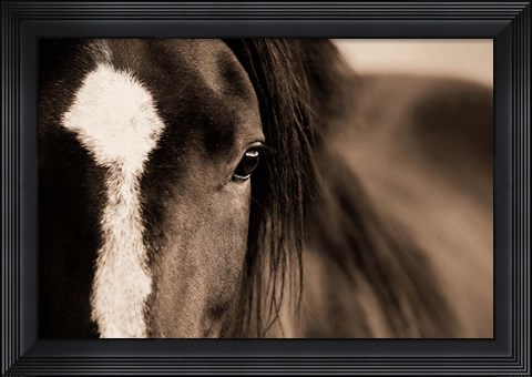 Framed Dark Eyes Print