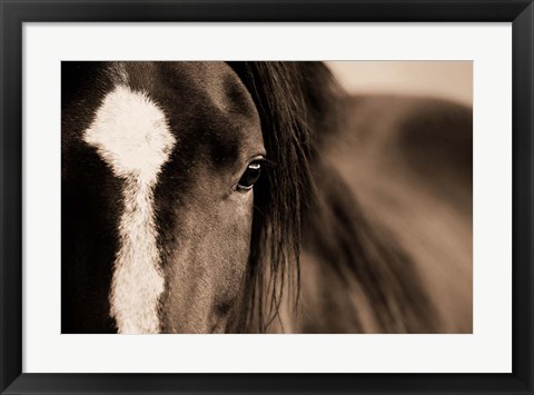 Framed Dark Eyes Print