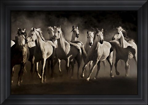 Framed Dream Horses Print