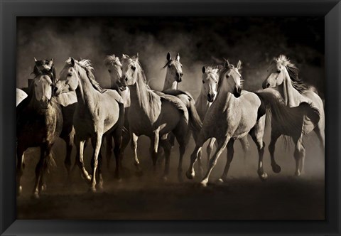 Framed Dream Horses Print