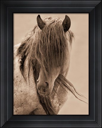 Framed Freedom Print