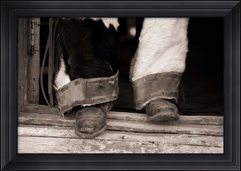 Framed Furry Chaps Print