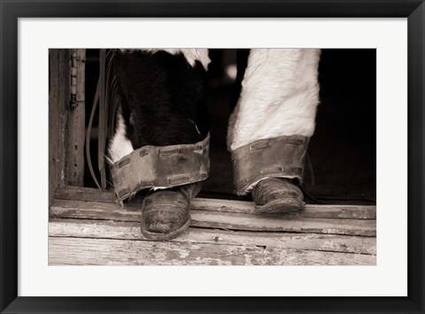 Framed Furry Chaps Print