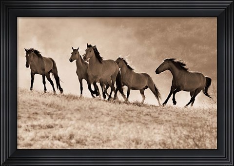 Framed Kicking Dust Print