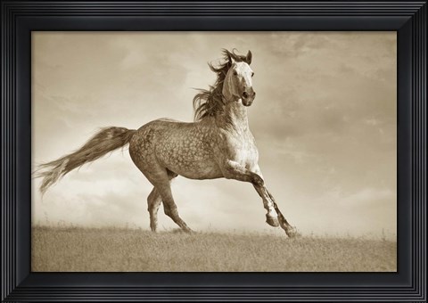 Framed Like the Wind Print