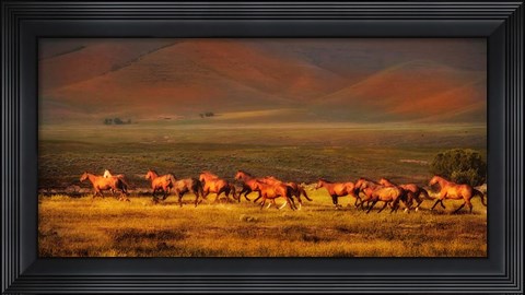 Framed Montana Dreaming Print