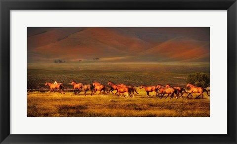 Framed Montana Dreaming Print