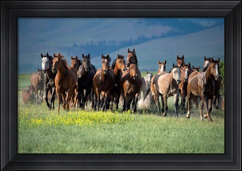Framed Montana Thunder Print