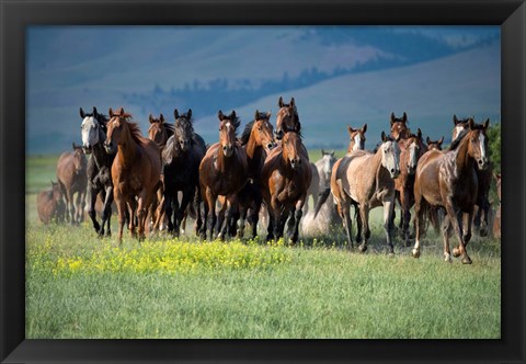 Framed Montana Thunder Print