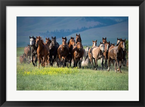 Framed Montana Thunder Print