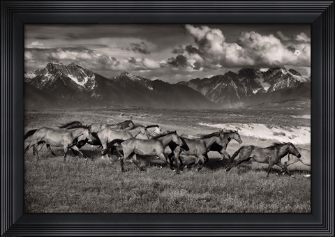 Framed Mountain Range Mavericks Print