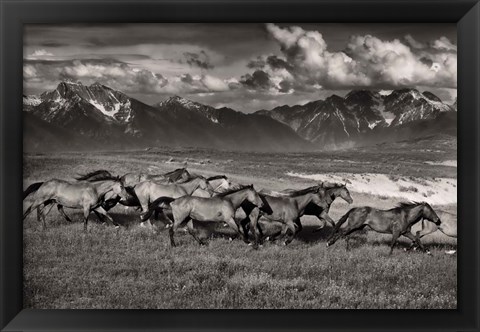 Framed Mountain Range Mavericks Print