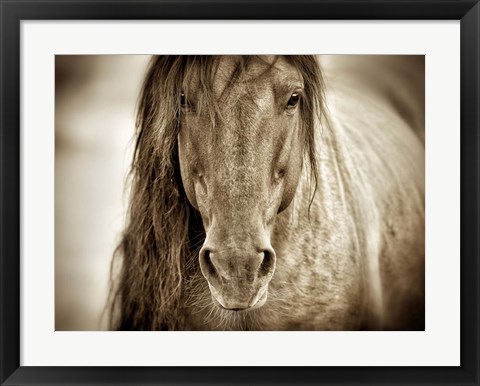 Framed Mustang Sally Print