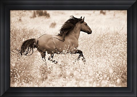 Framed Running Free Print