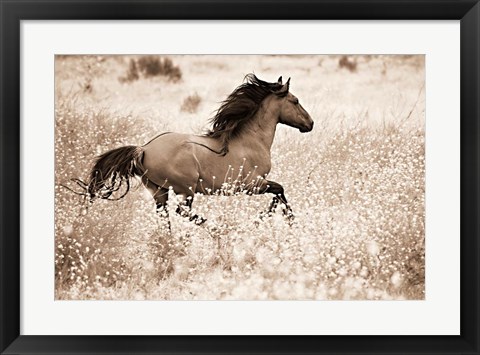 Framed Running Free Print