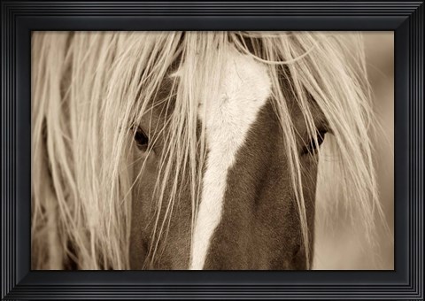 Framed Blonde Print