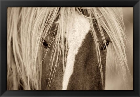 Framed Blonde Print