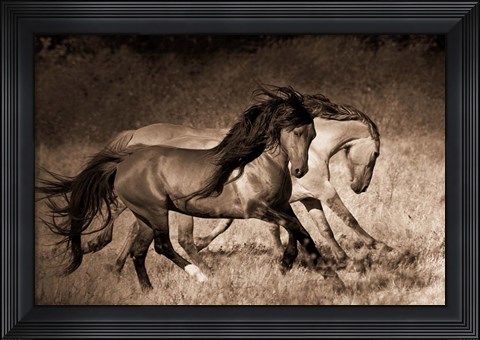 Framed Dance Print