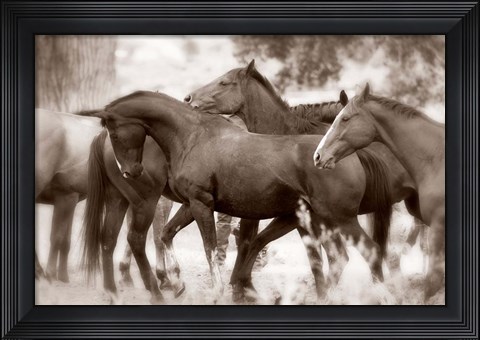 Framed Herd Print