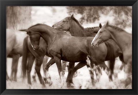 Framed Herd Print