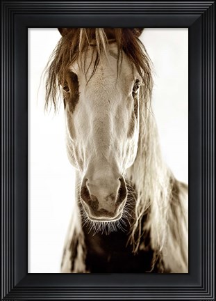 Framed Wilbur Cruz Print