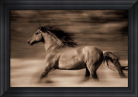 Framed Wind Runner Print