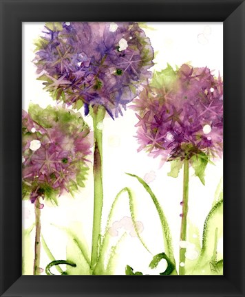 Framed Alliums Print